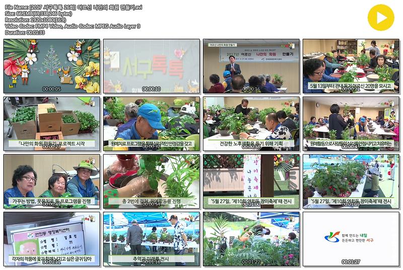 [2017 서구톡톡 26회] 연희동 어르신 나만의 화원 만들기 사진
